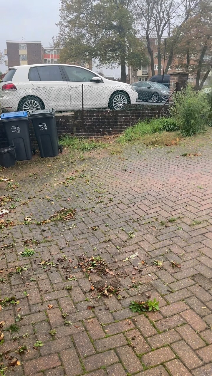 Commercial building pressure washing